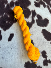 Load image into Gallery viewer, Minis!-In Stock