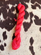 Load image into Gallery viewer, Minis!-In Stock