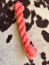 Load image into Gallery viewer, Minis!-In Stock