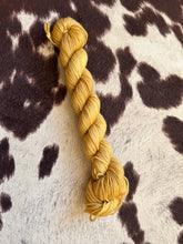 Load image into Gallery viewer, Minis!-In Stock