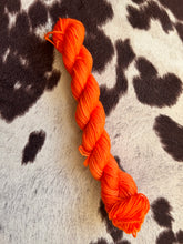 Load image into Gallery viewer, Minis!-In Stock