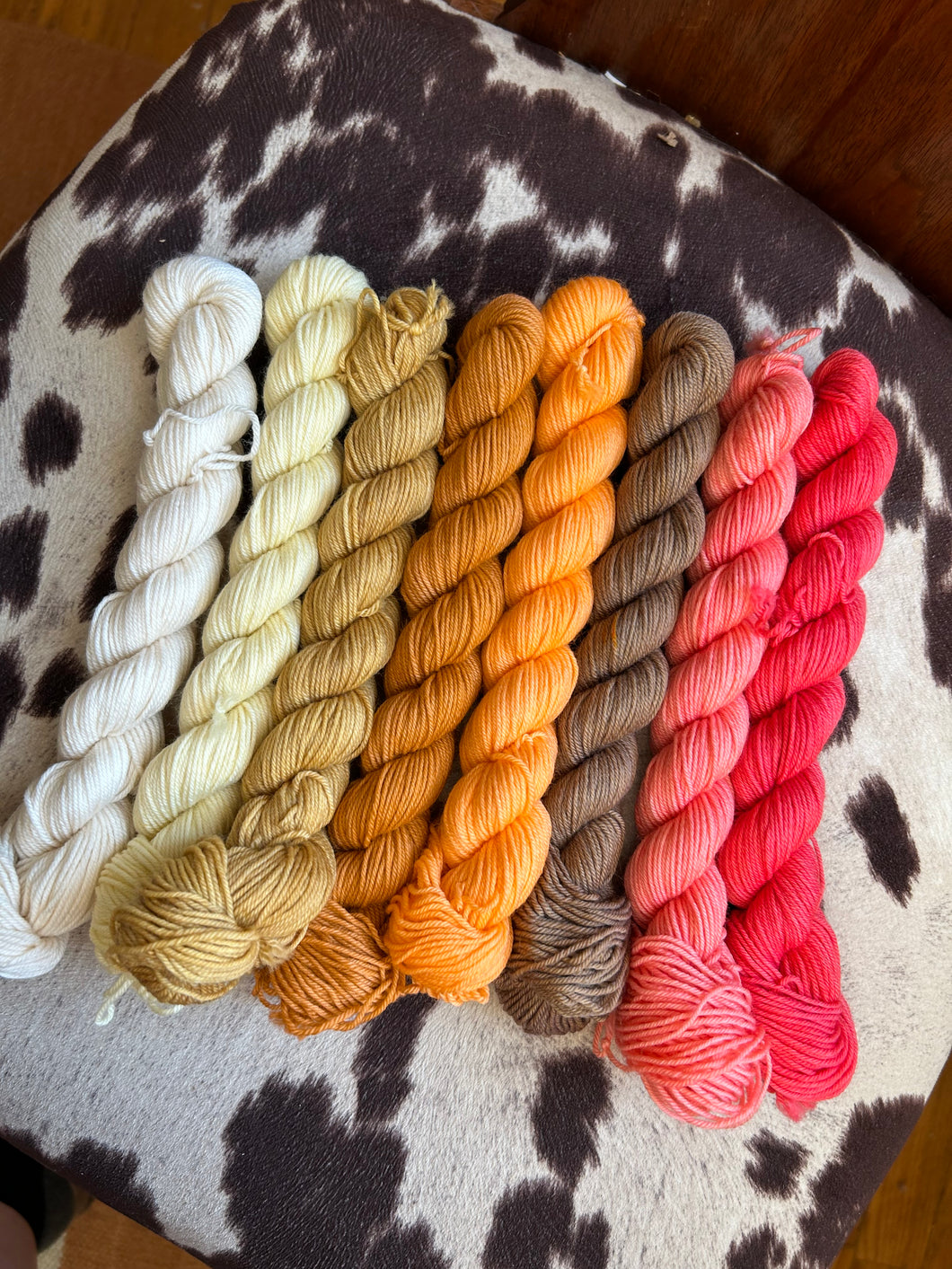 Warm and Retro Mini Mix-20 gram Mini Skein Set