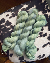Load image into Gallery viewer, Shady Pines-In Stock
